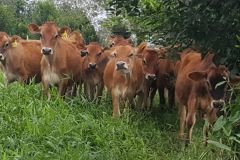 photo_2024-01-16_18-46-09