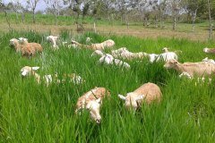 photo_2024-01-16_18-46-18